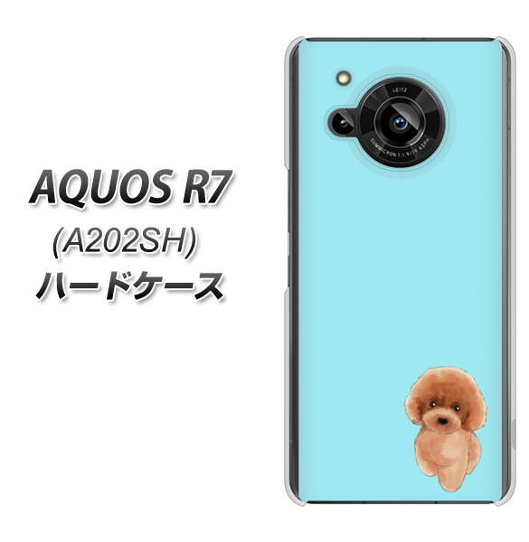 AQUOS R7 A202SH SoftBank 高画質仕上げ 背面印刷 ハードケース【YJ050 トイプードルレッド(ブルー)】