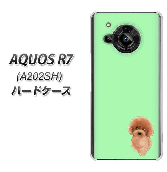 AQUOS R7 A202SH SoftBank 高画質仕上げ 背面印刷 ハードケース【YJ052 トイプードルレッド( グリーン)】