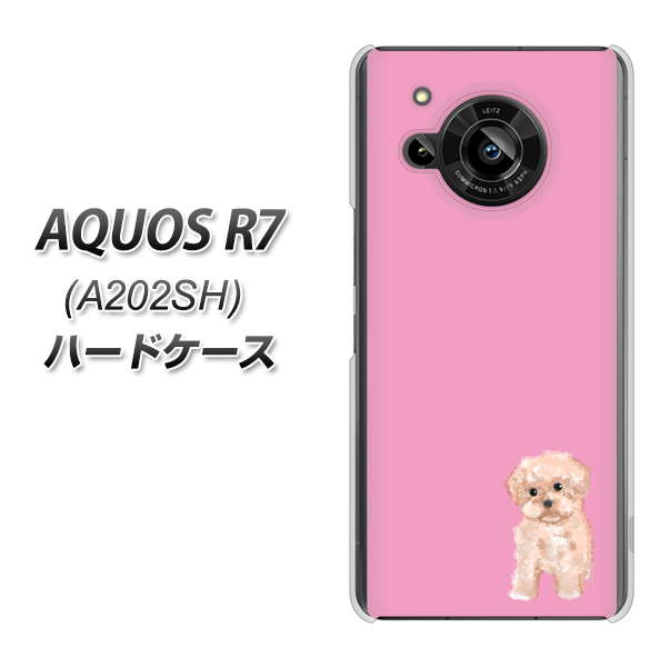 AQUOS R7 A202SH SoftBank 高画質仕上げ 背面印刷 ハードケース【YJ061 トイプードルアプリコット(ピンク)】