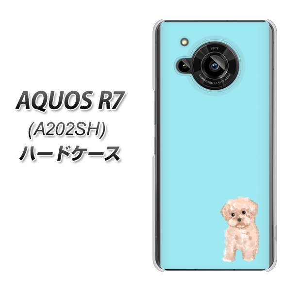 AQUOS R7 A202SH SoftBank 高画質仕上げ 背面印刷 ハードケース【YJ062 トイプードルアプリコット(ブルー)】