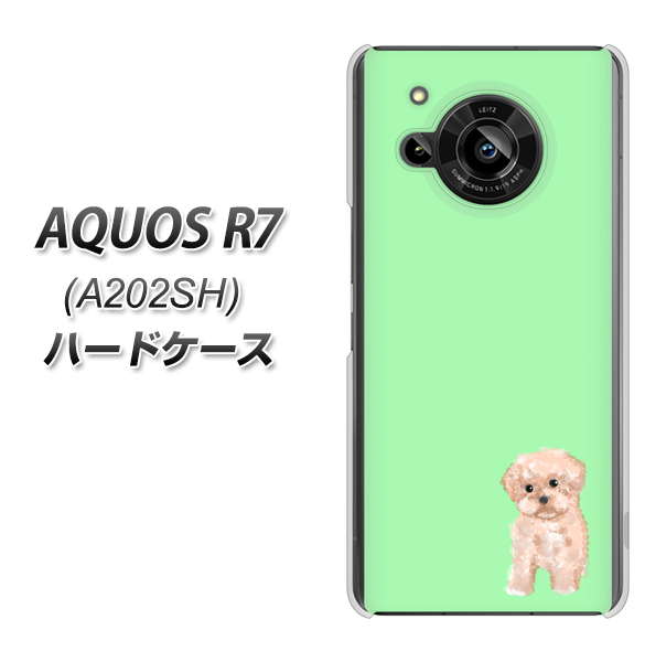AQUOS R7 A202SH SoftBank 高画質仕上げ 背面印刷 ハードケース【YJ063 トイプードルアプリコット(グリーン)】