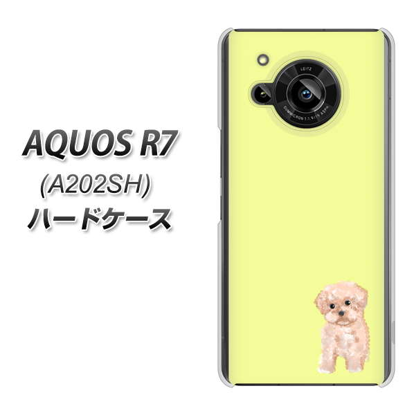 AQUOS R7 A202SH SoftBank 高画質仕上げ 背面印刷 ハードケース【YJ064 トイプードルアプリコット(イエロー)】