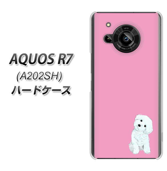 AQUOS R7 A202SH SoftBank 高画質仕上げ 背面印刷 ハードケース【YJ069 トイプードルホワイト(ピンク)】