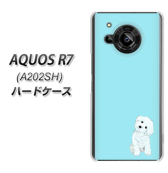 AQUOS R7 A202SH SoftBank 高画質仕上げ 背面印刷 ハードケース【YJ070 トイプードルホワイト(ブルー)】