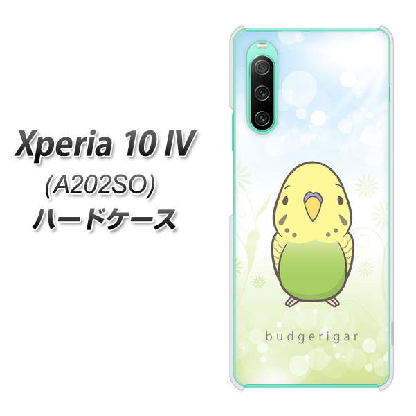 Xperia 10 IV A202SO SoftBank 高画質仕上げ 背面印刷 ハードケース【SC838 セキセイインコ グリーン】
