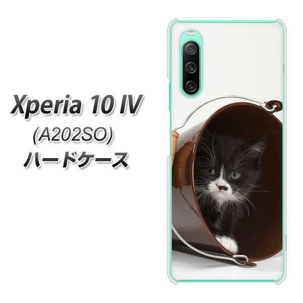 Xperia 10 IV A202SO SoftBank 高画質仕上げ 背面印刷 ハードケース【VA800 ネコとバケツ】