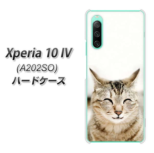 Xperia 10 IV A202SO SoftBank 高画質仕上げ 背面印刷 ハードケース【VA801 笑福ねこ】