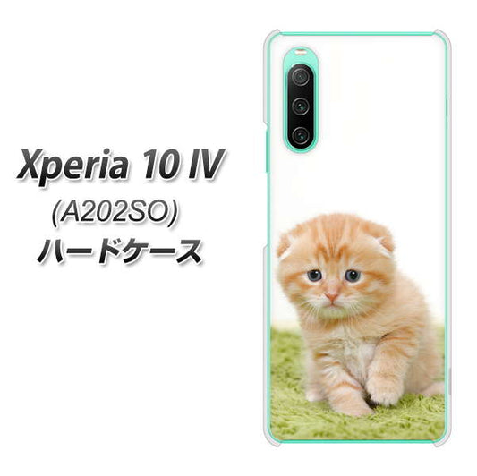 Xperia 10 IV A202SO SoftBank 高画質仕上げ 背面印刷 ハードケース【VA802 ネコこっそり】