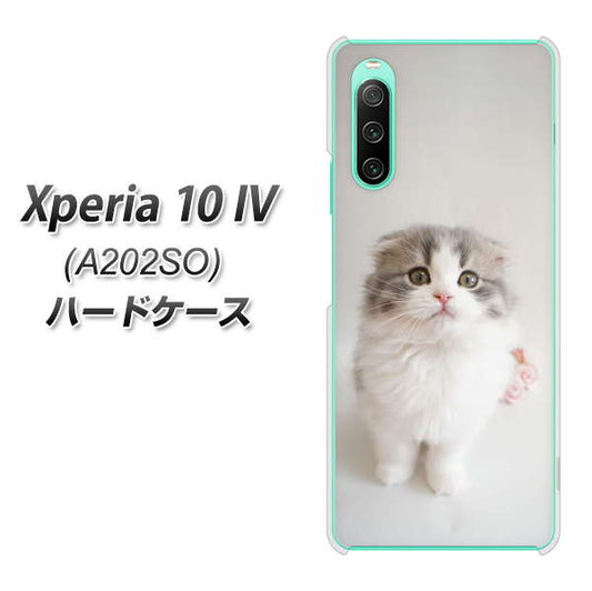 Xperia 10 IV A202SO SoftBank 高画質仕上げ 背面印刷 ハードケース【VA803 まっていますネコ】