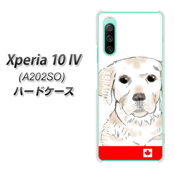 Xperia 10 IV A202SO SoftBank 高画質仕上げ 背面印刷 ハードケース【YD821 ラブラドールレトリバー02】