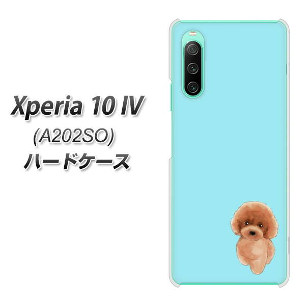 Xperia 10 IV A202SO SoftBank 高画質仕上げ 背面印刷 ハードケース【YJ050 トイプードルレッド(ブルー)】