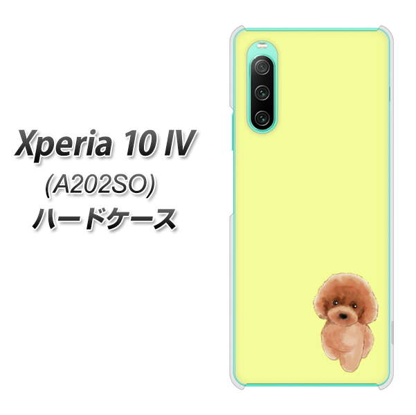 Xperia 10 IV A202SO SoftBank 高画質仕上げ 背面印刷 ハードケース【YJ051 トイプードルレッド(イエロー)】