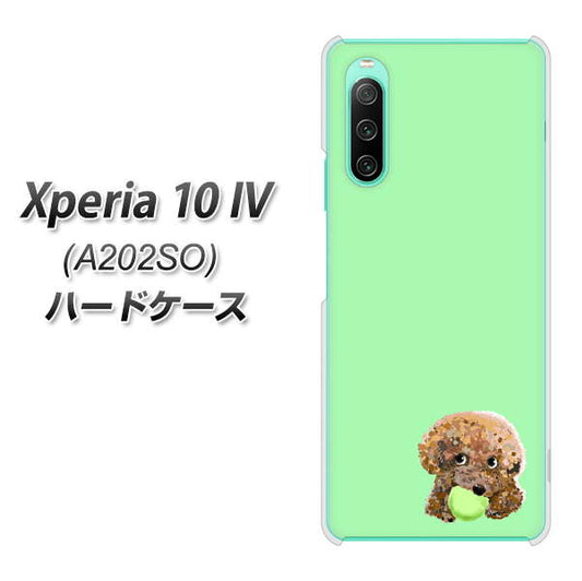 Xperia 10 IV A202SO SoftBank 高画質仕上げ 背面印刷 ハードケース【YJ055 トイプードル&ボール(グリーン)】