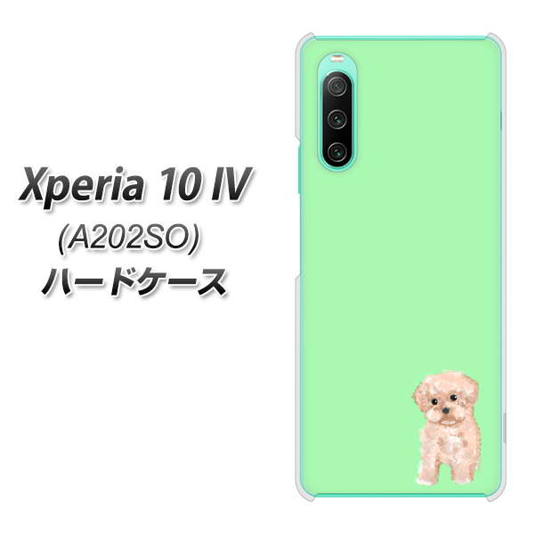 Xperia 10 IV A202SO SoftBank 高画質仕上げ 背面印刷 ハードケース【YJ063 トイプードルアプリコット(グリーン)】