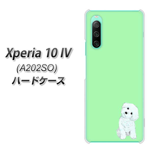 Xperia 10 IV A202SO SoftBank 高画質仕上げ 背面印刷 ハードケース【YJ071 トイプードルホワイト(グリーン)】