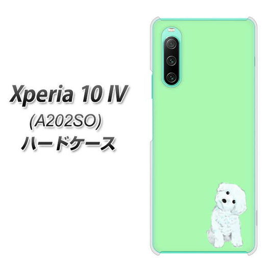 Xperia 10 IV A202SO SoftBank 高画質仕上げ 背面印刷 ハードケース【YJ071 トイプードルホワイト(グリーン)】