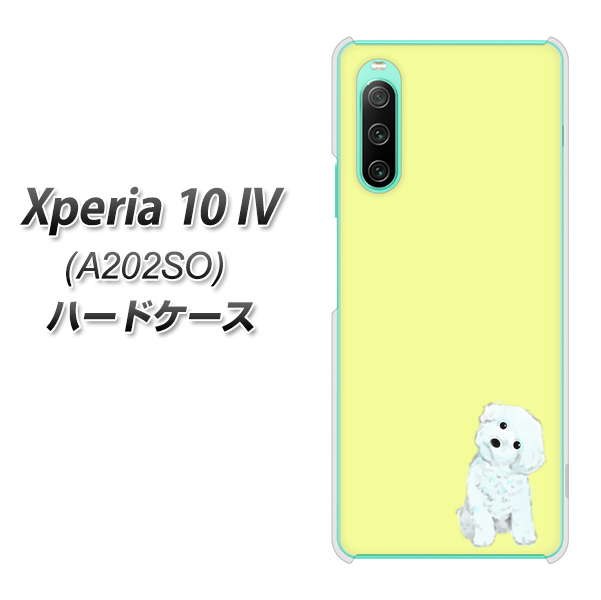 Xperia 10 IV A202SO SoftBank 高画質仕上げ 背面印刷 ハードケース【YJ072 トイプードルホワイト(イエロー)】