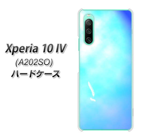 Xperia 10 IV A202SO SoftBank 高画質仕上げ 背面印刷 ハードケース【YJ291 デザイン 光】