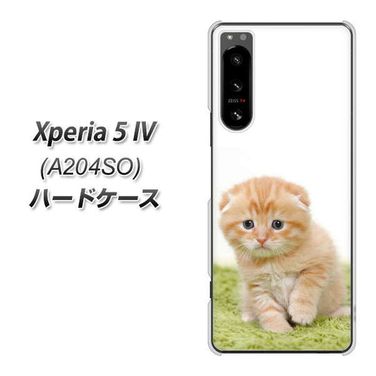 Xperia 5 IV A204SO SoftBank 高画質仕上げ 背面印刷 ハードケース【VA802 ネコこっそり】