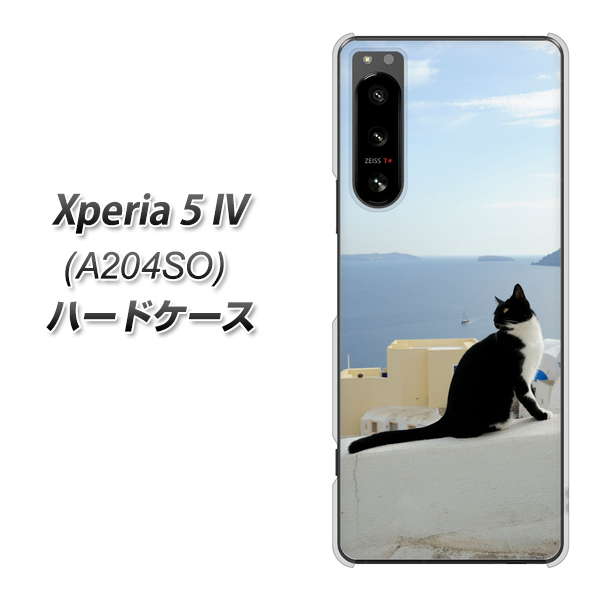 Xperia 5 IV A204SO SoftBank 高画質仕上げ 背面印刷 ハードケース【VA805 ネコと地中海】