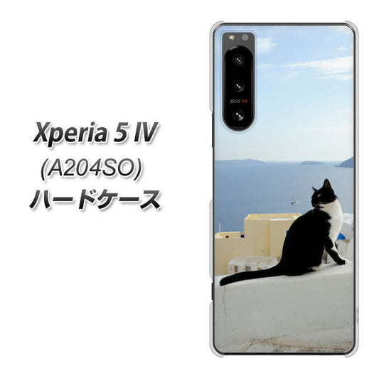 Xperia 5 IV A204SO SoftBank 高画質仕上げ 背面印刷 ハードケース【VA805 ネコと地中海】