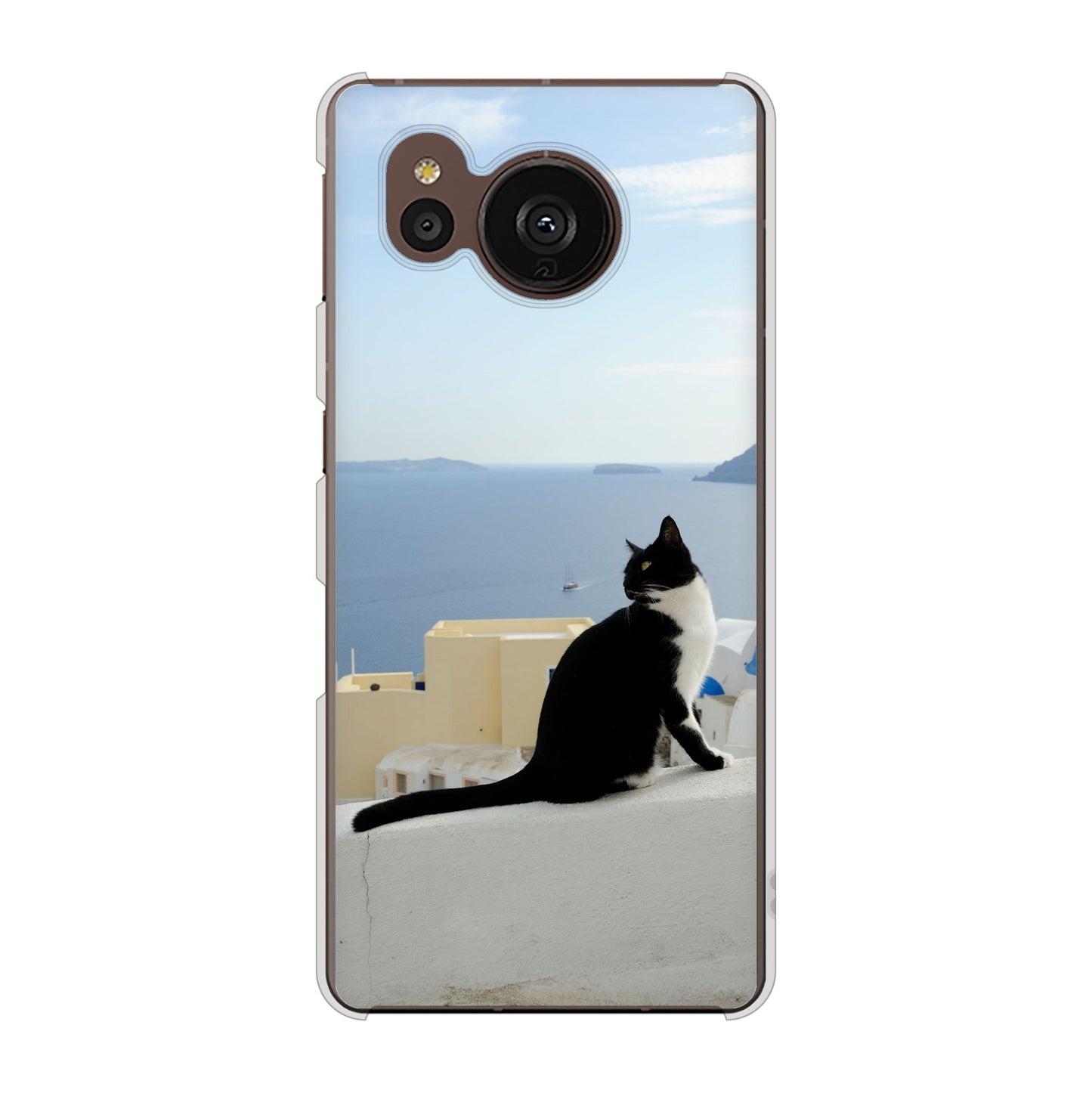 AQUOS sense7 plus A208SH SoftBank 高画質仕上げ 背面印刷 ハードケース 【VA805 ネコと地中海】