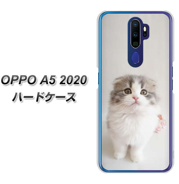 OPPO(オッポ) A5 2020 高画質仕上げ 背面印刷 ハードケース【VA803 まっていますネコ】