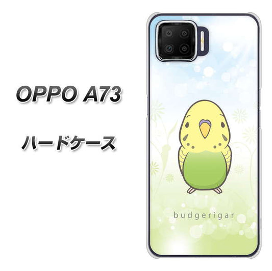 楽天モバイル OPPO(オッポ) A73 高画質仕上げ 背面印刷 ハードケース【SC838 セキセイインコ グリーン】