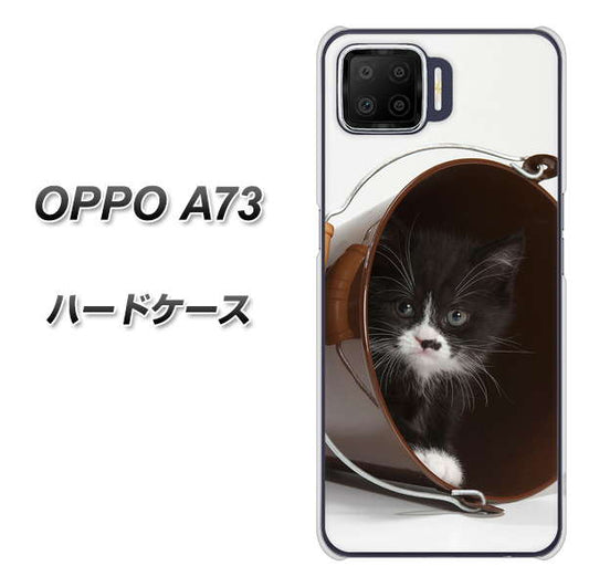 楽天モバイル OPPO（オッポ） A73 高画質仕上げ 背面印刷 ハードケース【VA800 ネコとバケツ】