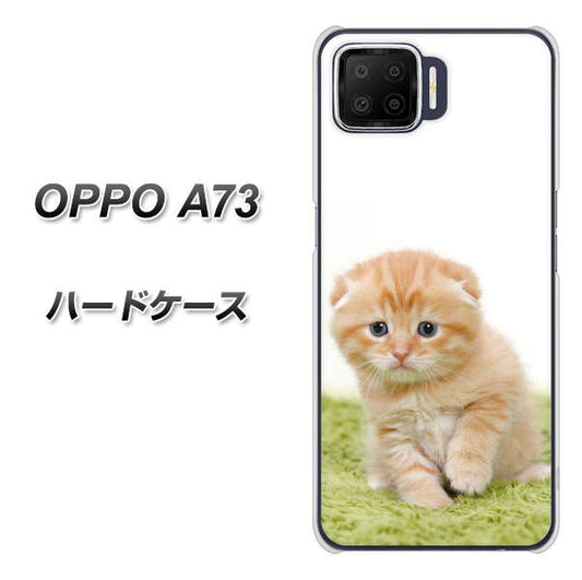 楽天モバイル OPPO（オッポ） A73 高画質仕上げ 背面印刷 ハードケース【VA802 ネコこっそり】
