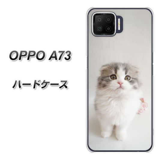 楽天モバイル OPPO(オッポ) A73 高画質仕上げ 背面印刷 ハードケース【VA803 まっていますネコ】