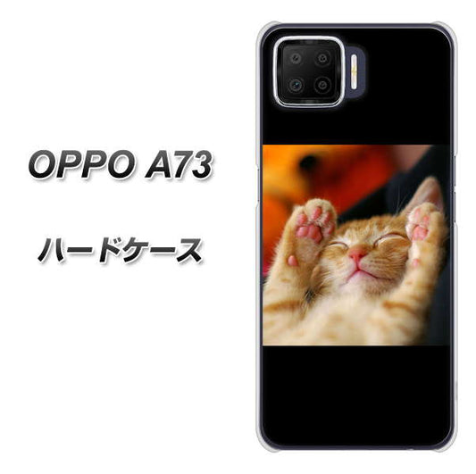 楽天モバイル OPPO(オッポ) A73 高画質仕上げ 背面印刷 ハードケース【VA804 爆睡するネコ】