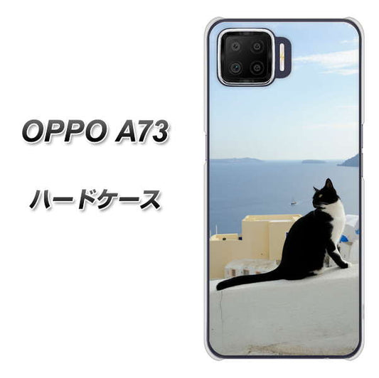 楽天モバイル OPPO(オッポ) A73 高画質仕上げ 背面印刷 ハードケース【VA805 ネコと地中海】
