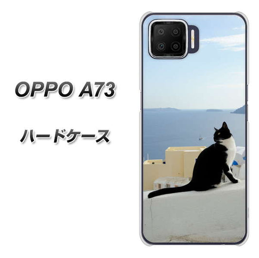 楽天モバイル OPPO（オッポ） A73 高画質仕上げ 背面印刷 ハードケース【VA805 ネコと地中海】