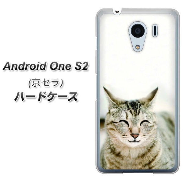 Y!mobile アンドロイドワン S2 高画質仕上げ 背面印刷 ハードケース【VA801 笑福ねこ】
