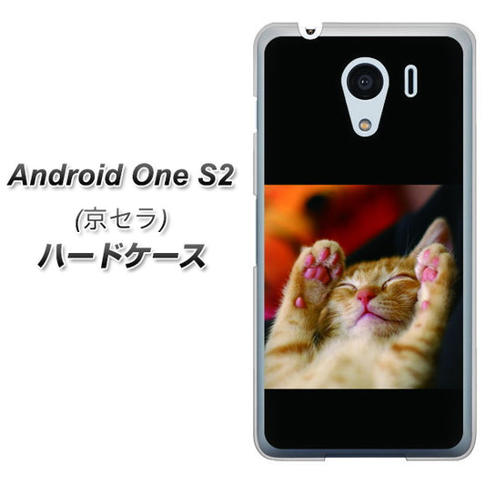 Y!mobile アンドロイドワン S2 高画質仕上げ 背面印刷 ハードケース【VA804 爆睡するネコ】