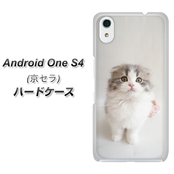 Android One S4 高画質仕上げ 背面印刷 ハードケース【VA803 まっていますネコ】