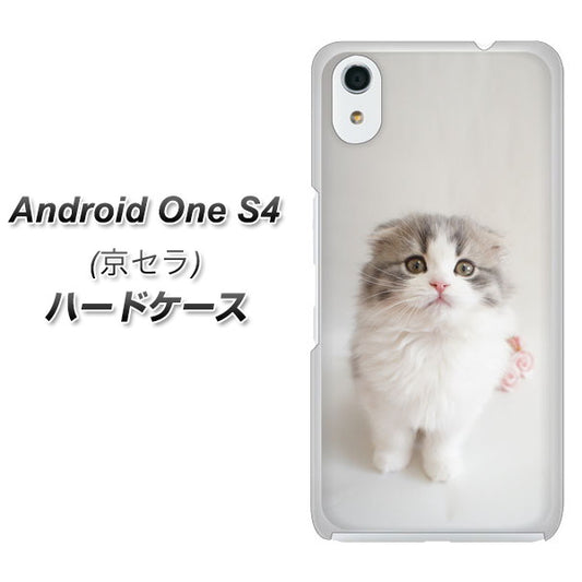 Android One S4 高画質仕上げ 背面印刷 ハードケース【VA803 まっていますネコ】