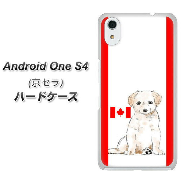 Android One S4 高画質仕上げ 背面印刷 ハードケース【YD824 ラブラドールレトリバー05】