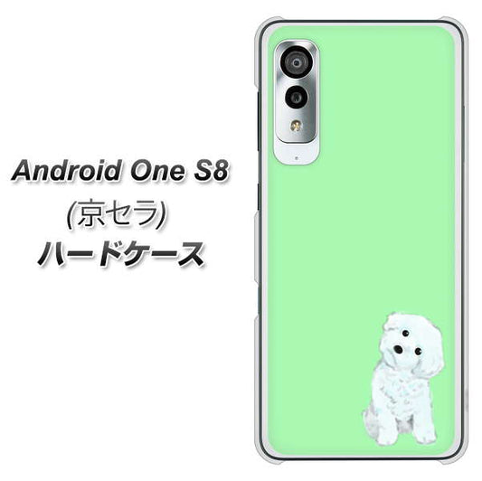 アンドロイドワン S8 高画質仕上げ 背面印刷 ハードケース【YJ071 トイプードルホワイト(グリーン)】