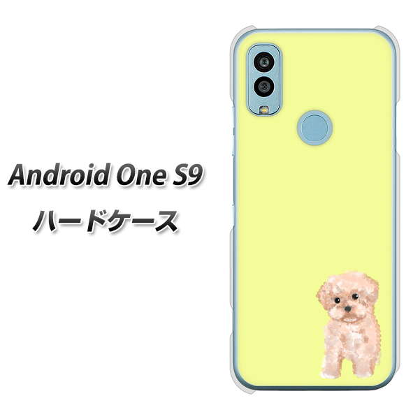 Android One S9 Y!mobile 高画質仕上げ 背面印刷 ハードケース【YJ064 トイプードルアプリコット(イエロー)】