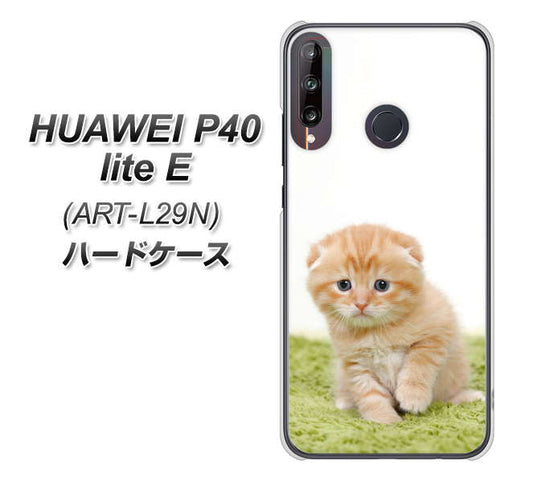 HUAWEI(ファーウェイ) P40 lite E ART-L29N 高画質仕上げ 背面印刷 ハードケース【VA802 ネコこっそり】