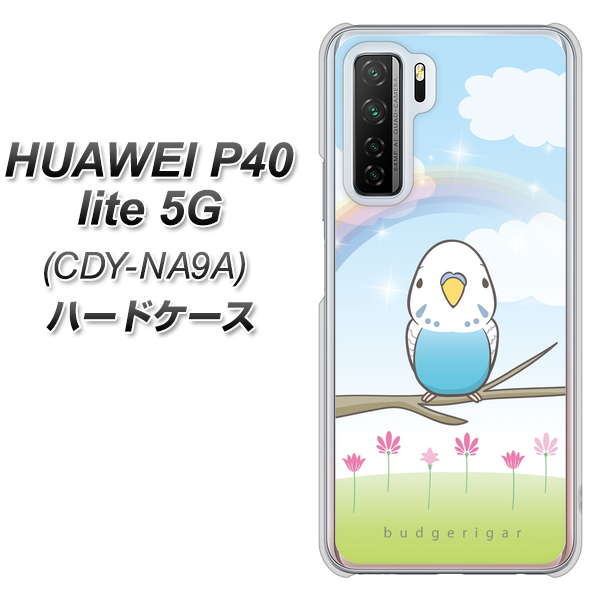 HUAWEI(ファーウェイ) P40 lite 5G CDY-NA9A 高画質仕上げ 背面印刷 ハードケース【SC839 セキセイインコ ブルー】