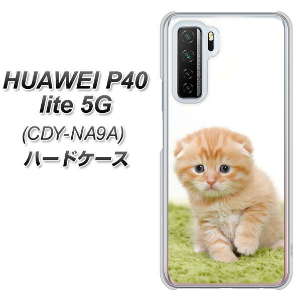 HUAWEI(ファーウェイ) P40 lite 5G CDY-NA9A 高画質仕上げ 背面印刷 ハードケース【VA802 ネコこっそり】