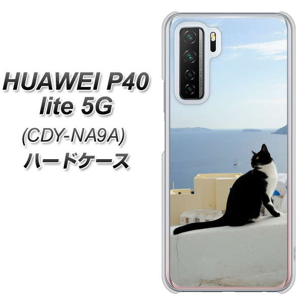 HUAWEI(ファーウェイ) P40 lite 5G CDY-NA9A 高画質仕上げ 背面印刷 ハードケース【VA805 ネコと地中海】