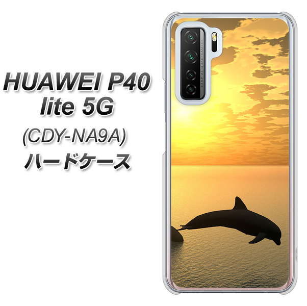 HUAWEI(ファーウェイ) P40 lite 5G CDY-NA9A 高画質仕上げ 背面印刷 ハードケース【VA845 夕暮れのドルフィン】