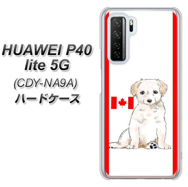 HUAWEI(ファーウェイ) P40 lite 5G CDY-NA9A 高画質仕上げ 背面印刷 ハードケース【YD824 ラブラドールレトリバー05】