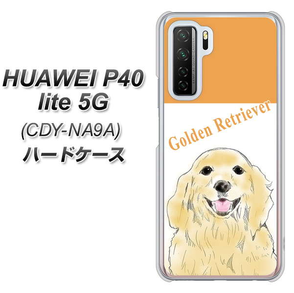 HUAWEI(ファーウェイ) P40 lite 5G CDY-NA9A 高画質仕上げ 背面印刷 ハードケース【YD827 ゴールデンレトリバー03】