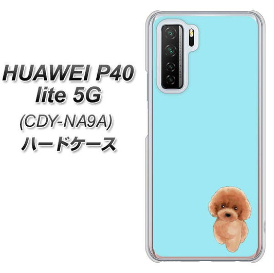 HUAWEI(ファーウェイ) P40 lite 5G CDY-NA9A 高画質仕上げ 背面印刷 ハードケース【YJ050 トイプードルレッド(ブルー)】