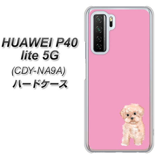 HUAWEI(ファーウェイ) P40 lite 5G CDY-NA9A 高画質仕上げ 背面印刷 ハードケース【YJ061 トイプードルアプリコット(ピンク)】